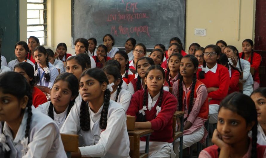 Диплом с занесением в реестр выгодная цена