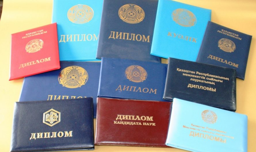 Диплом с занесением в реестр по выгодной цене